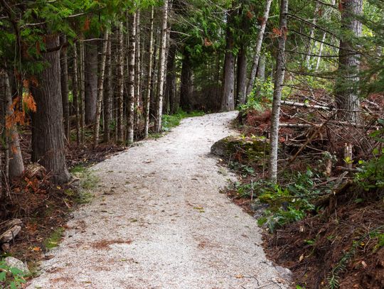 Trails and Pathways