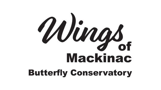 Wings of Mackinac